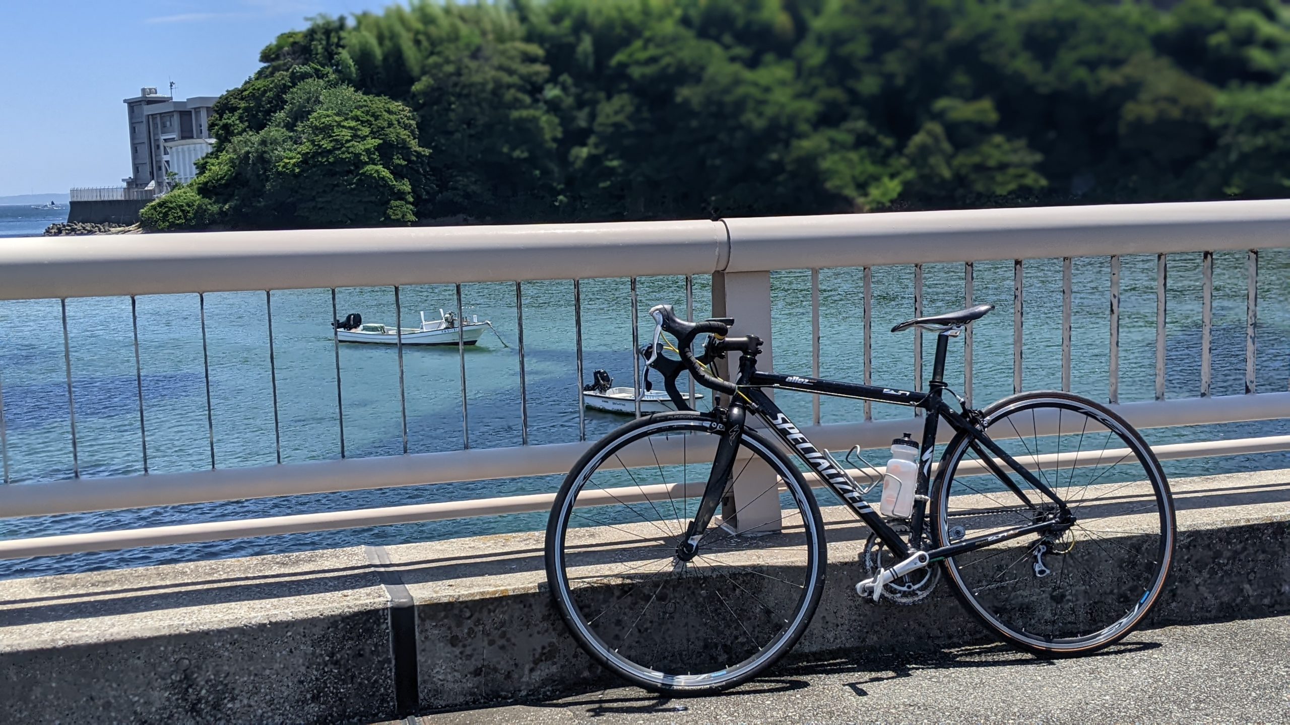 【忙しいパパへ】週末ロードバイクで「効率UP」！短時間で結果を出す賢い走り方